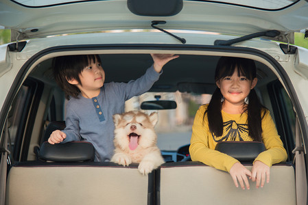 儿童和西伯利亚哈士奇犬小狗坐在车里