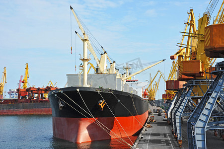 港口设备摄影照片_散货船在港口起重机下