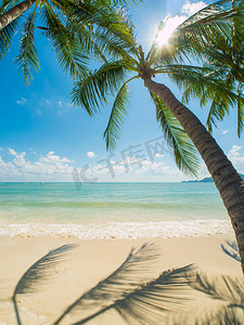 椰子海滩摄影照片_苏梅岛的热带海滩岛