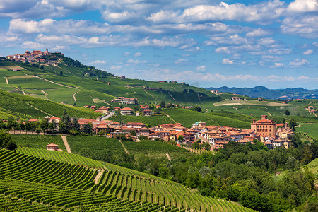 农村风景摄影照片_巴罗洛镇之间在意大利的葡萄园.