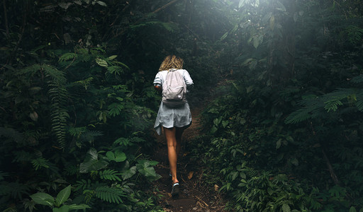 View from the back photo of a sporty curly female with a backpack walking througth the tropical forest with dark green forest on a summer day. Student girl is exploring wild nature of asia.