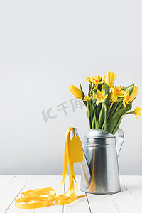 春天1摄影照片_美丽的黄色春天花在浇灌能在灰色