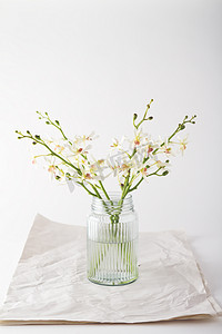 简单的白色兰花，在老式玻璃罐子里，文本的空间