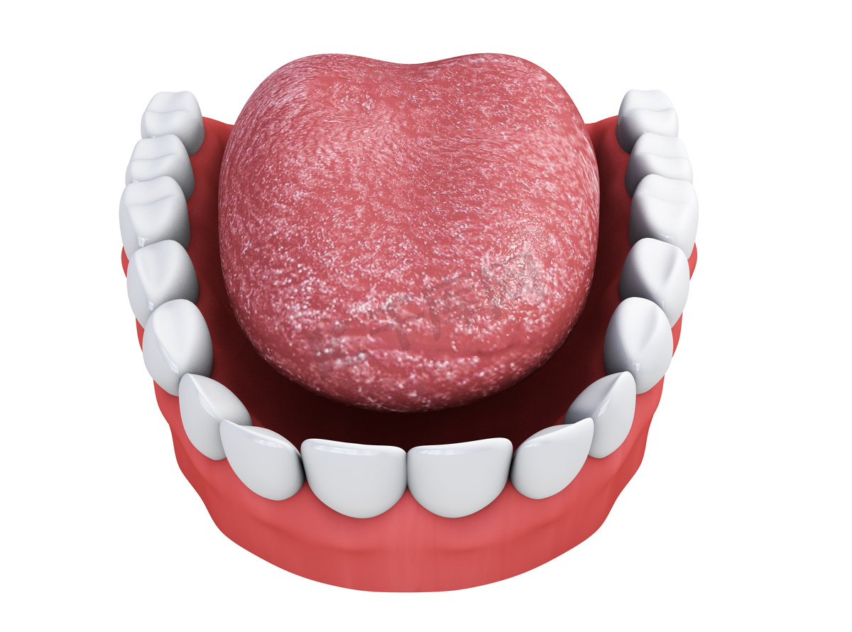 现实的人类牙齿收藏 3D模型 $149 - .ma .max .gltf .usd .upk .unitypackage .obj .3ds .c4d .fbx .usdz .unknown ...