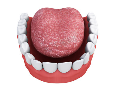 用牙齿和舌头上一个白色背景的 3d 渲染的下巴