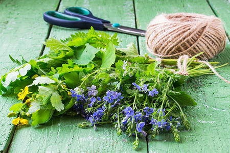 花缠绕摄影照片_Herbs are prepared for drying 