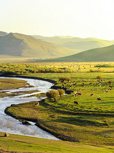 彩色图像摄影照片_内蒙古大草原天然牧场