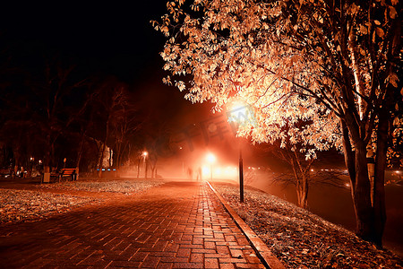 模糊黄色摄影照片_夜晚在公园的风景中，抽象地看到了小巷、树木和灯光在秋天模糊的背景