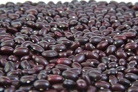 Uncoocked 红色豆作为背景。Gernika 豆.