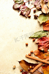 冬秋天的摄影照片_秋天的叶子用香料