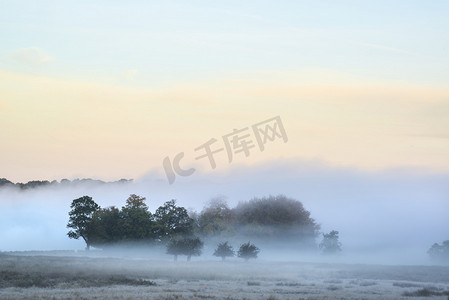 秋天秋天农村景观无线的美丽浓雾日出
