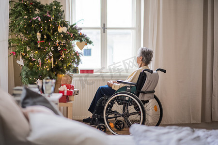 欧美地摄影照片_圣诞节期间在家中坐轮椅的一名高级妇女的后视镜.