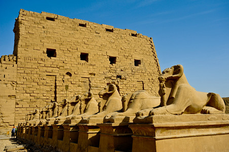 纳斯卡巨画摄影照片_Ram 为首的狮身人面像埃及卡纳克神庙