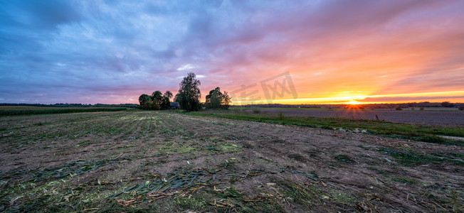 夜晚农村摄影照片_以日落颜色和戏剧性的天空为生物质夏季夜晚新栽培有机玉米田的全景--营养全蔬菜和可再生能源的概念。