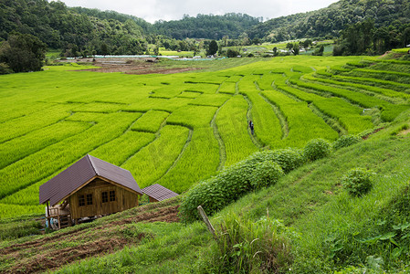 村人摄影照片_蒋 m 山，Pa Pong 平凉村的梯田