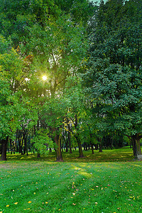 日落影摄影照片_美丽的公园