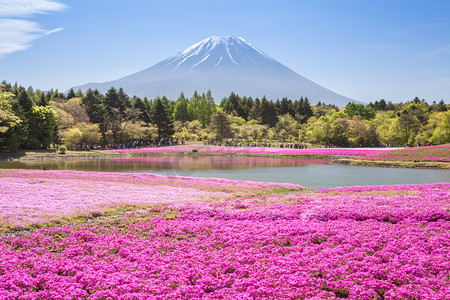 烟台富士摄影照片_山富士风景