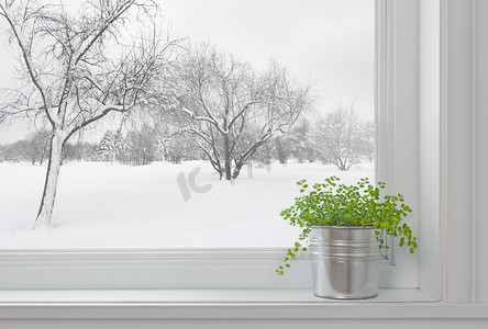 通过窗口和绿色的植物看到冬天风景