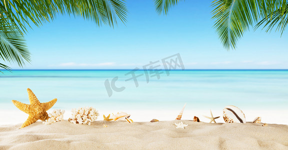 海星砂，夏天假期背景热带海滩.