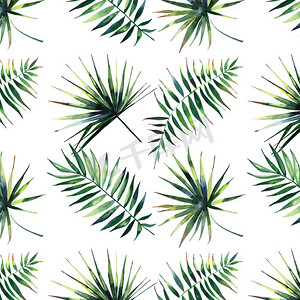 草药绘图摄影照片_美丽绿色热带可爱可爱奇妙夏威夷花卉草药夏天的图案的手掌水彩手图