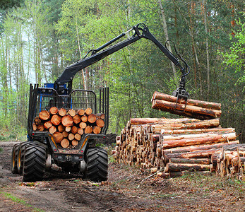 林业ppt摄影照片_在森林里工作的收割机.