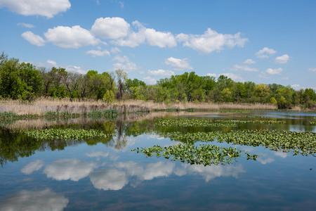 风景摄影照片_春季湿地 