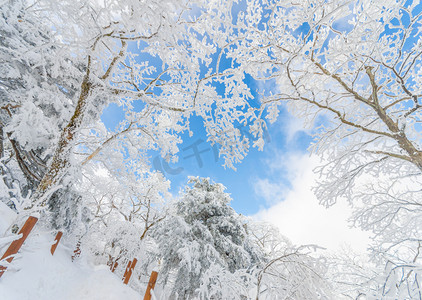 在韩国山冬季景观白色雪.