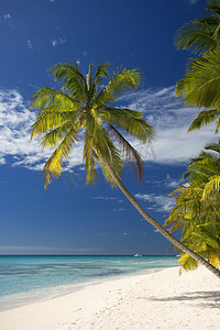 多米尼加共和国，两岛上的海滩