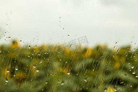 风挡大雨摄影照片_大雨落在窗口