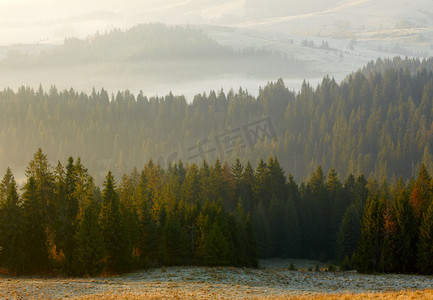 秋摄影照片_美丽的雾日出山中