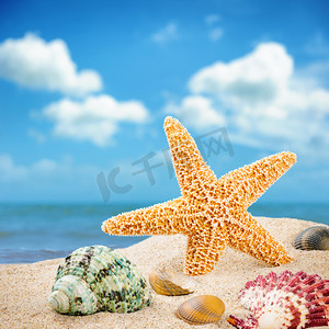 海洋星摄影照片_海洋之星和五颜六色的贝壳