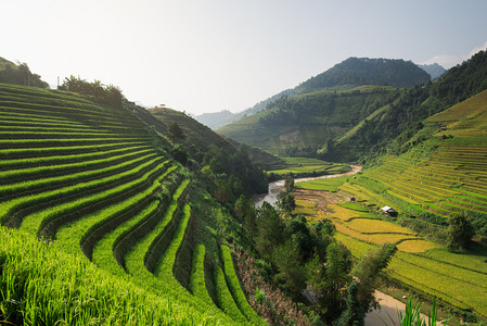 美丽的风景稻田上梯田的木仓柴