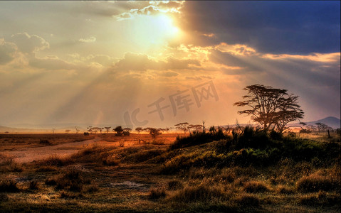 秋天gorgeous sunset with sunbeams on the savannah in Africa