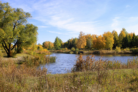 秋季景观-在公园里的池塘