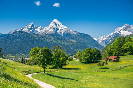 春景摄影照片_在阿尔卑斯山长满鲜花和草甸田园春景
