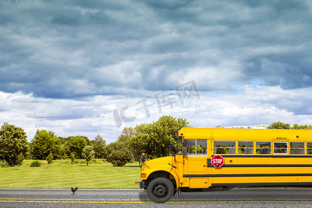 weather摄影照片_School Bus on american country road in the morning