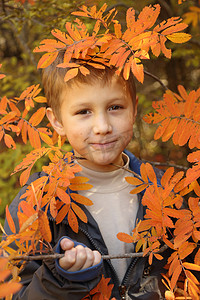 foliage摄影照片_boy in a bright fall foliage park