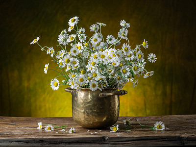 字段 chamomiles 木桌上花瓶里的花束.