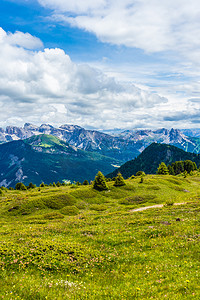 意大利，Siusi阿尔卑斯，Sassolungo Langkofel Dolomite的Seiser Alm，一片绿地，背景是一座山