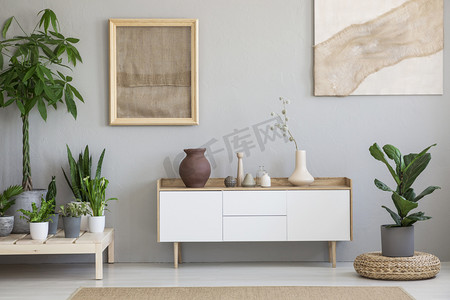 植物摄影照片_在客厅的白色橱柜上面的灰色墙上贴着植物和脚凳的海报。真实照片