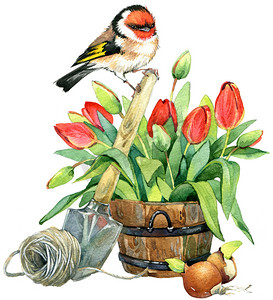 手绘美丽花朵摄影照片_春天的花和鸟。水彩