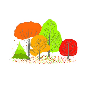 集团的绿色、 橙色、 红色和黄色秋天的树木