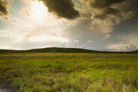 非洲风景 safari