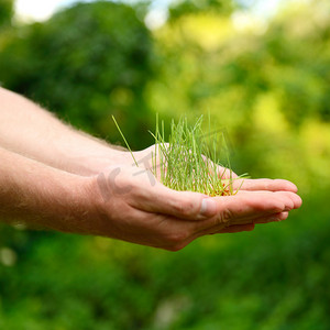 春天摄影照片_男手里拿着绿色的植物