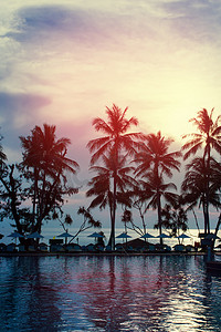日落在棕榈树的海岸线