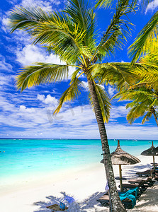 轻松的热带假期-毛里求斯岛的美丽的海滩.