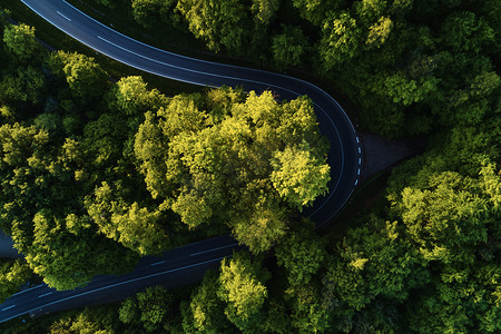 天空摄影照片_森林景观大树之间的公路