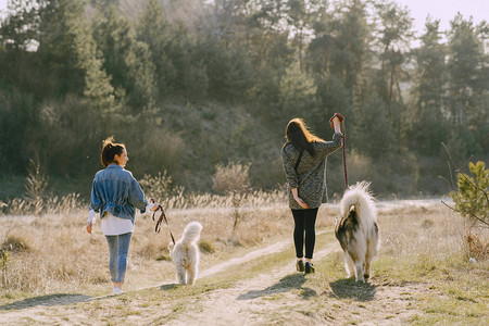 两个时髦的女孩在春天的田里带着一只狗