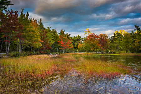 秋autumn摄影照片_Autumn color at Eagle Lake, in Acadia National Park, Maine. 