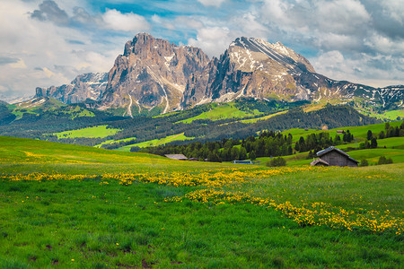 小屋摄影照片_Admirable summer scenery with yellow flowers and snowy mountains in background, Alpe di Siusi - Seiser Alm resort, Dolomites, Italy, Europe